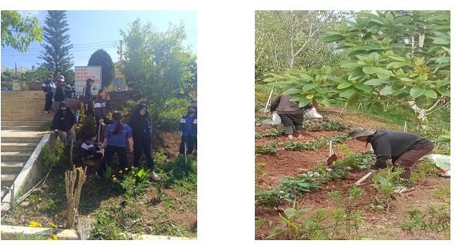 TRƯỜNG THPT LANG BIANG SÔI NỔI HƯỞNG ỨNG PHONG TRÀO TRỒNG CÂY XANH: GIEO MẦM YÊU THƯƠNG, KIẾN TẠO MÔI TRƯỜNG XANH - SẠCH - ĐẸP